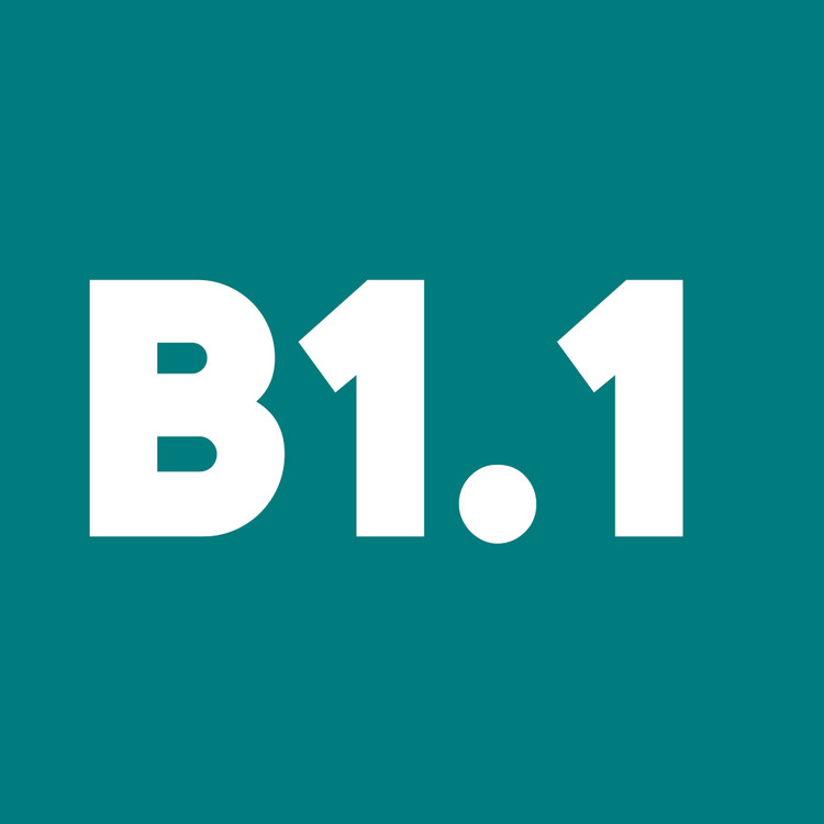 دوره آنلاین آموزش آلمانی خصوصی B1.1