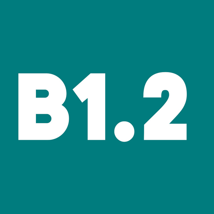 دوره آنلاین آموزش آلمانی خصوصی B1.2