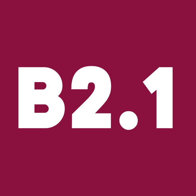 دوره آنلاین آموزش آلمانی خصوصی B2.1