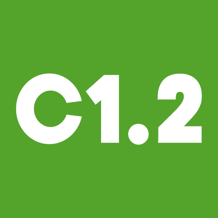 دوره آنلاین آموزش آلمانی خصوصی C1.2